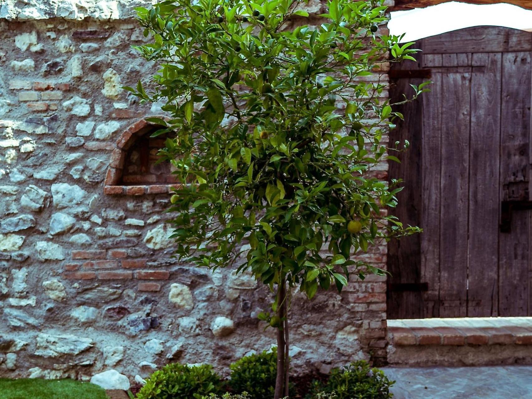 Villa Fontanelle Gardapartments Polpenazze del Garda Εξωτερικό φωτογραφία